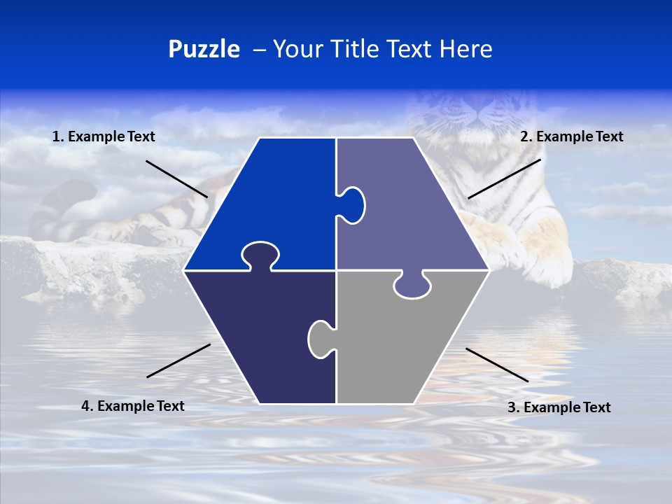 Black Cats Tiger PowerPoint Template