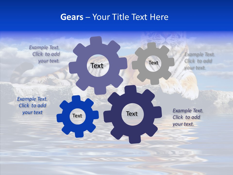 Black Cats Tiger PowerPoint Template