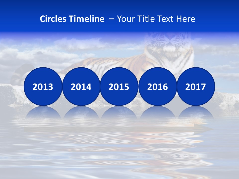 Black Cats Tiger PowerPoint Template