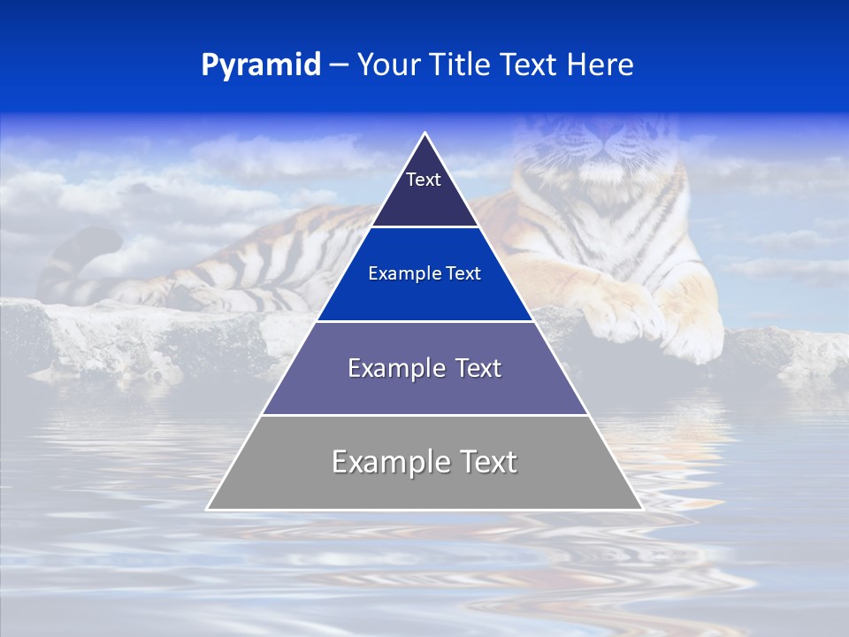 Black Cats Tiger PowerPoint Template