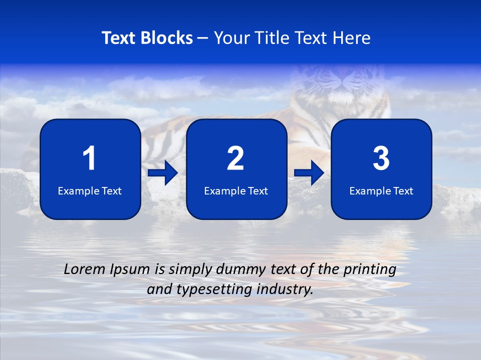 Black Cats Tiger PowerPoint Template