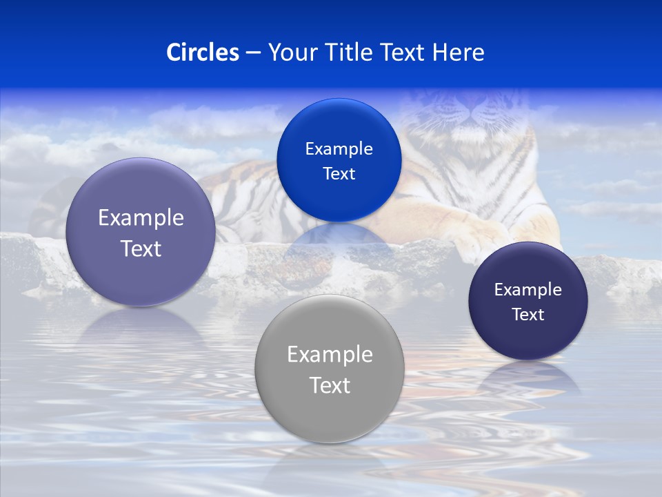 Black Cats Tiger PowerPoint Template