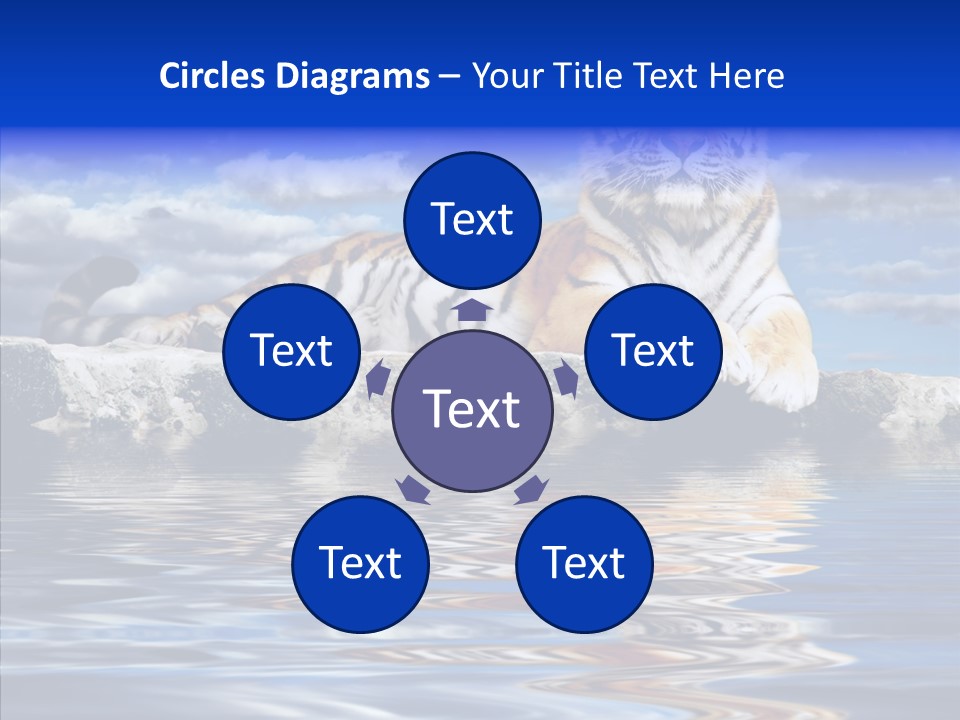 Black Cats Tiger PowerPoint Template