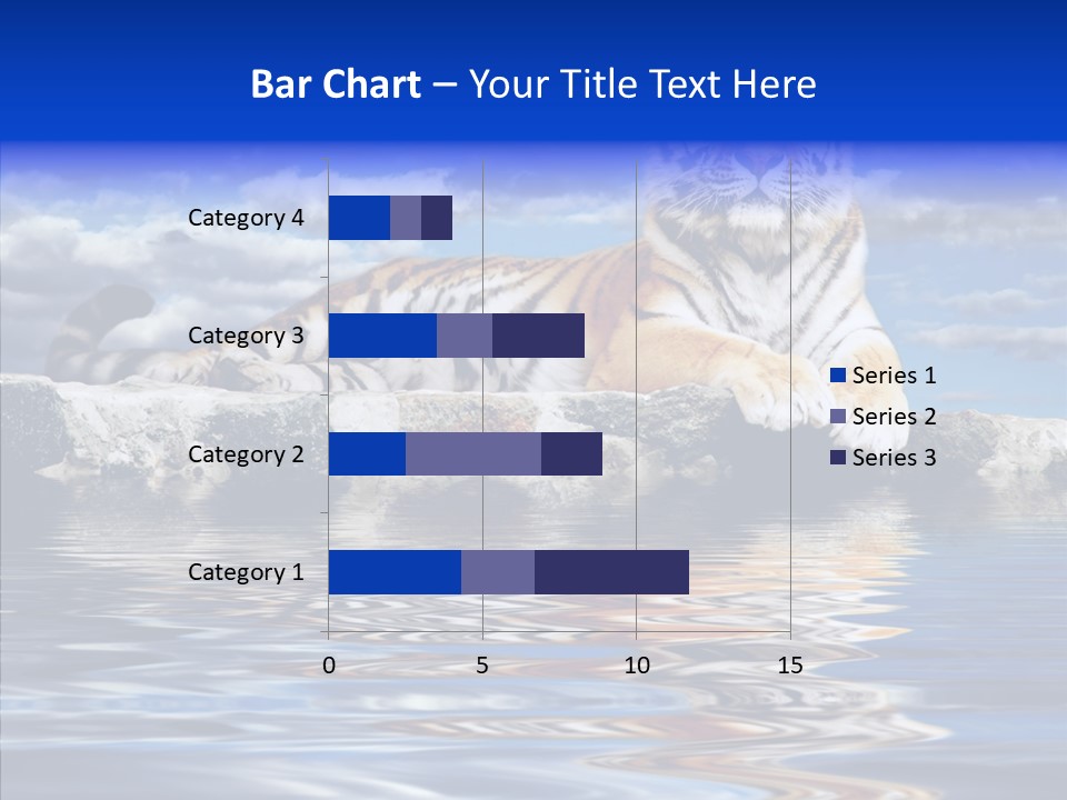 Black Cats Tiger PowerPoint Template