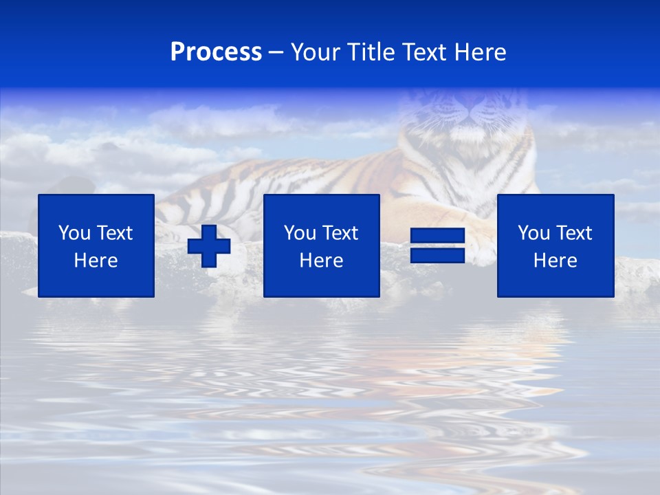 Black Cats Tiger PowerPoint Template