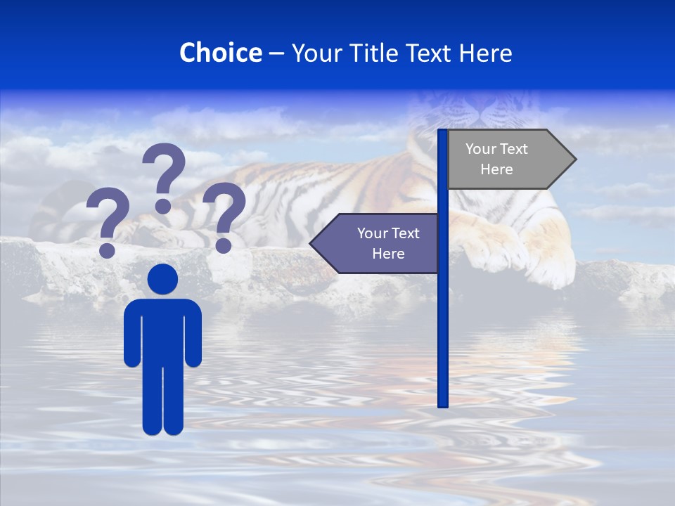 Black Cats Tiger PowerPoint Template