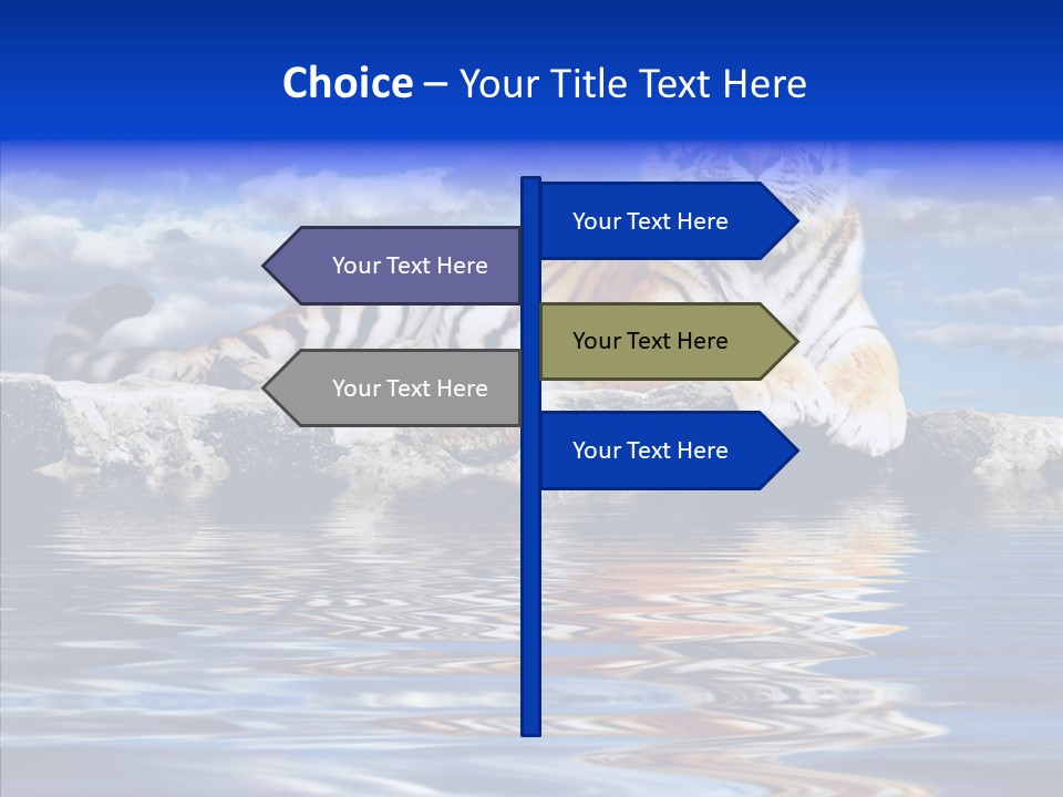 Black Cats Tiger PowerPoint Template