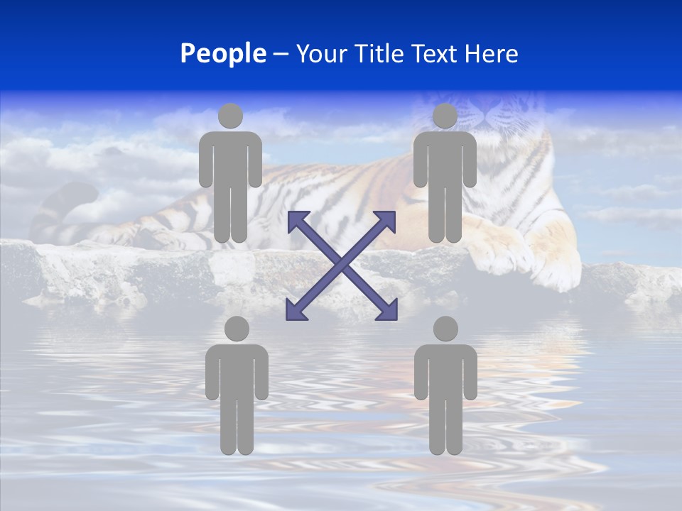 Black Cats Tiger PowerPoint Template