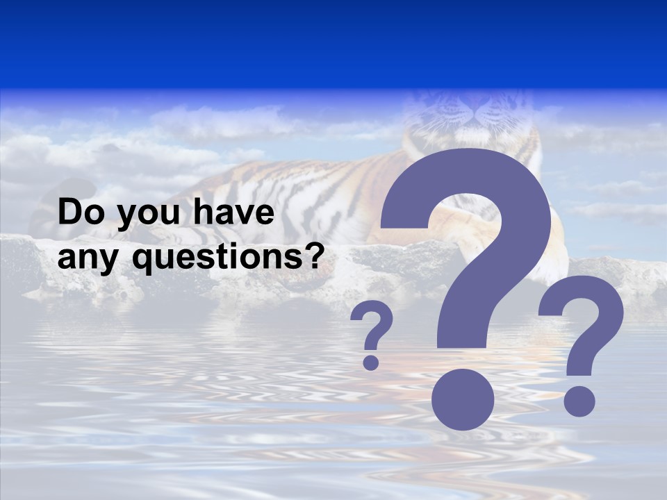 Black Cats Tiger PowerPoint Template