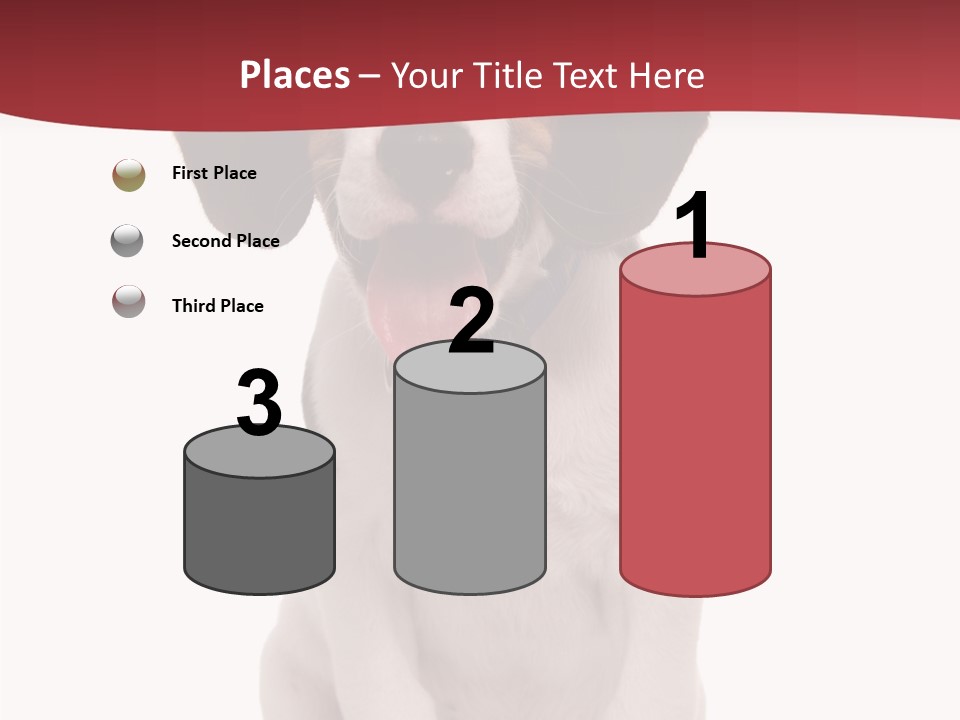 Room Happy Profe Ional PowerPoint Template