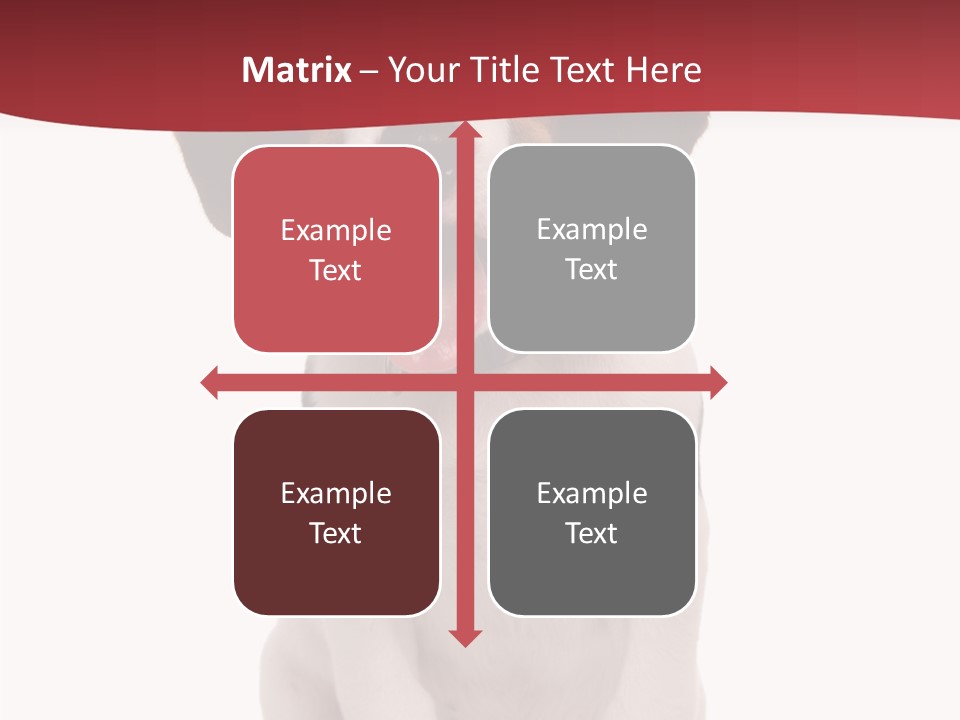 Room Happy Profe Ional PowerPoint Template