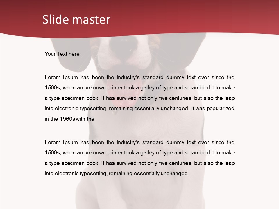 Room Happy Profe Ional PowerPoint Template