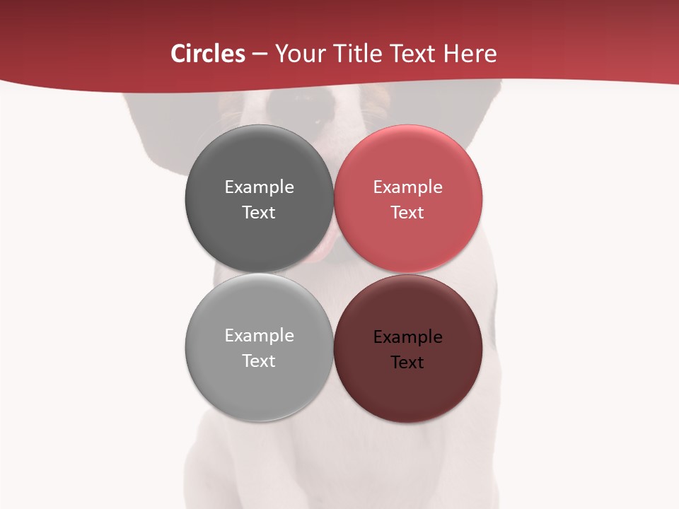 Room Happy Profe Ional PowerPoint Template