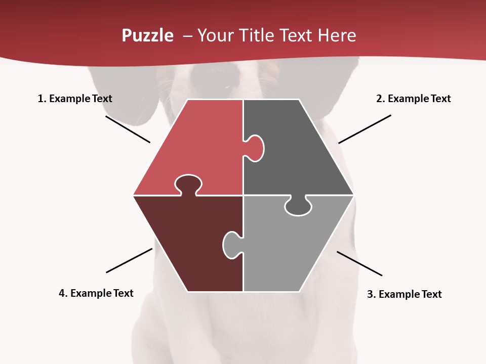 Room Happy Profe Ional PowerPoint Template