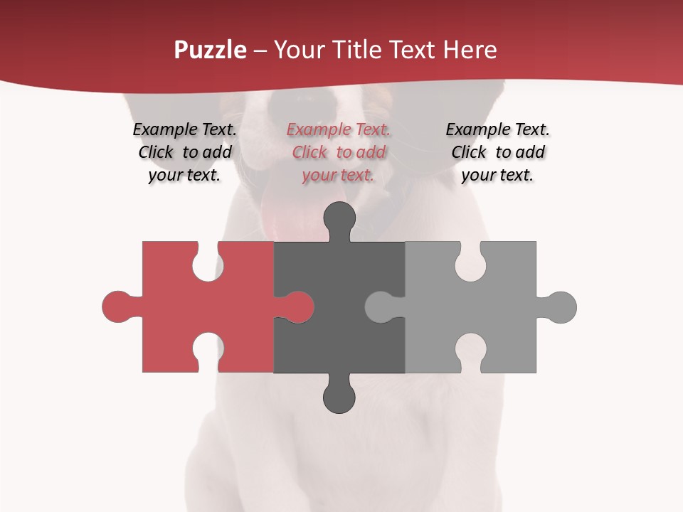 Room Happy Profe Ional PowerPoint Template