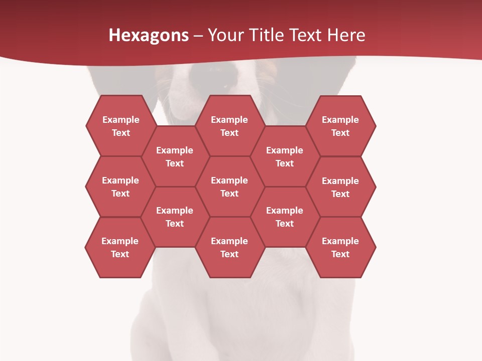 Room Happy Profe Ional PowerPoint Template