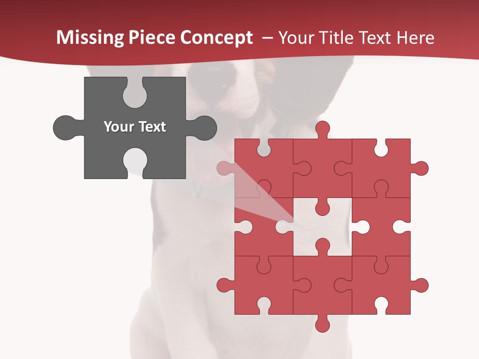 Room Happy Profe Ional PowerPoint Template