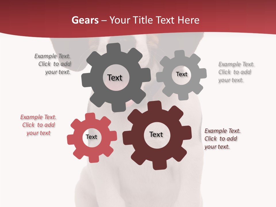 Room Happy Profe Ional PowerPoint Template