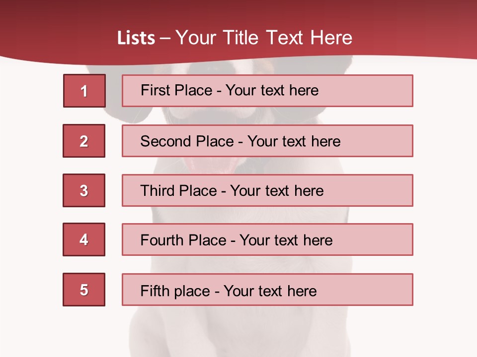 Room Happy Profe Ional PowerPoint Template