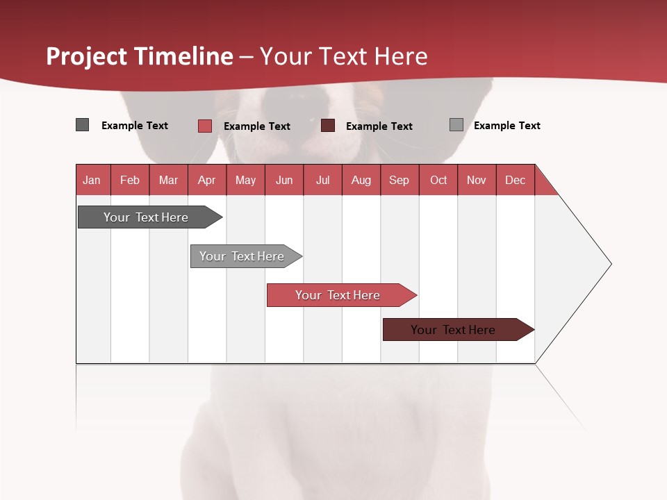 Room Happy Profe Ional PowerPoint Template