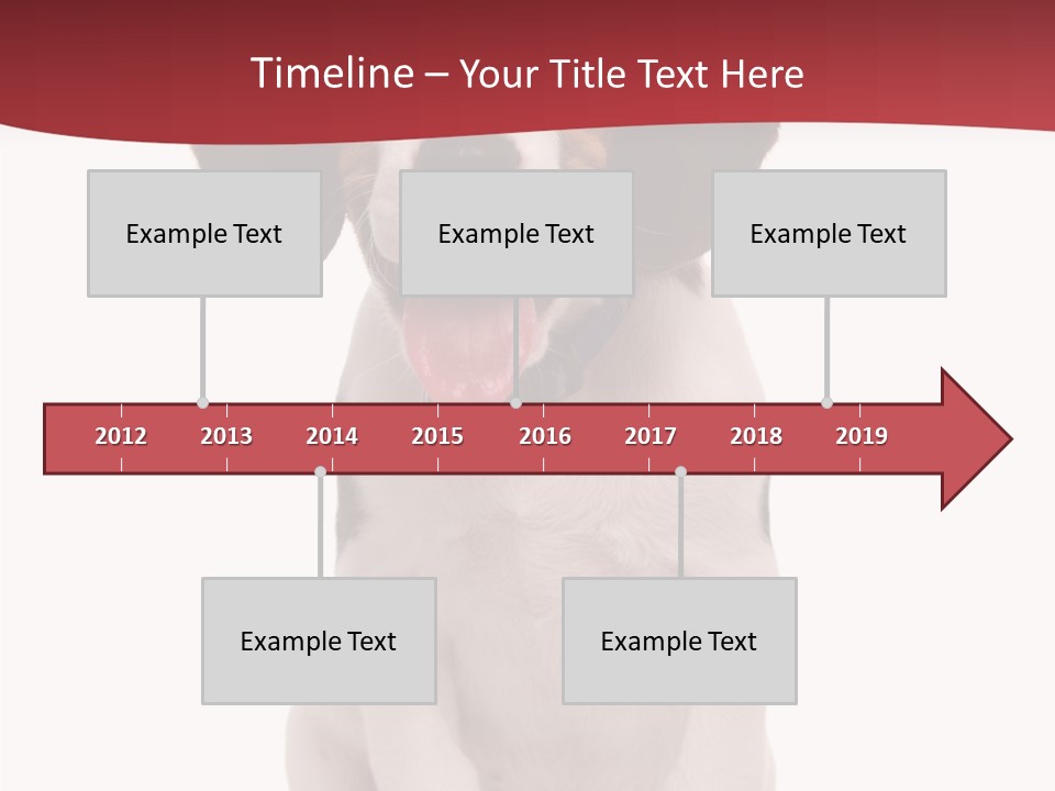 Room Happy Profe Ional PowerPoint Template