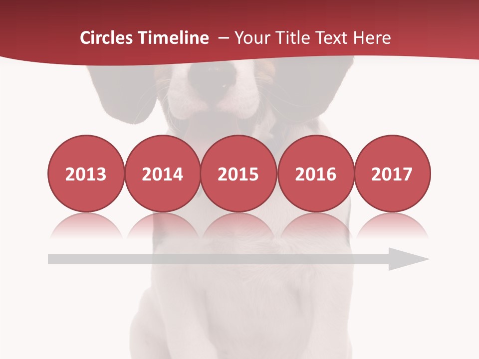 Room Happy Profe Ional PowerPoint Template