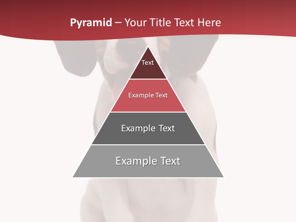 Room Happy Profe Ional PowerPoint Template