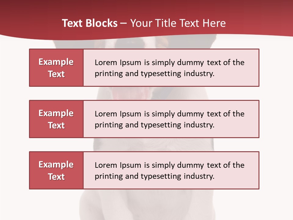 Room Happy Profe Ional PowerPoint Template