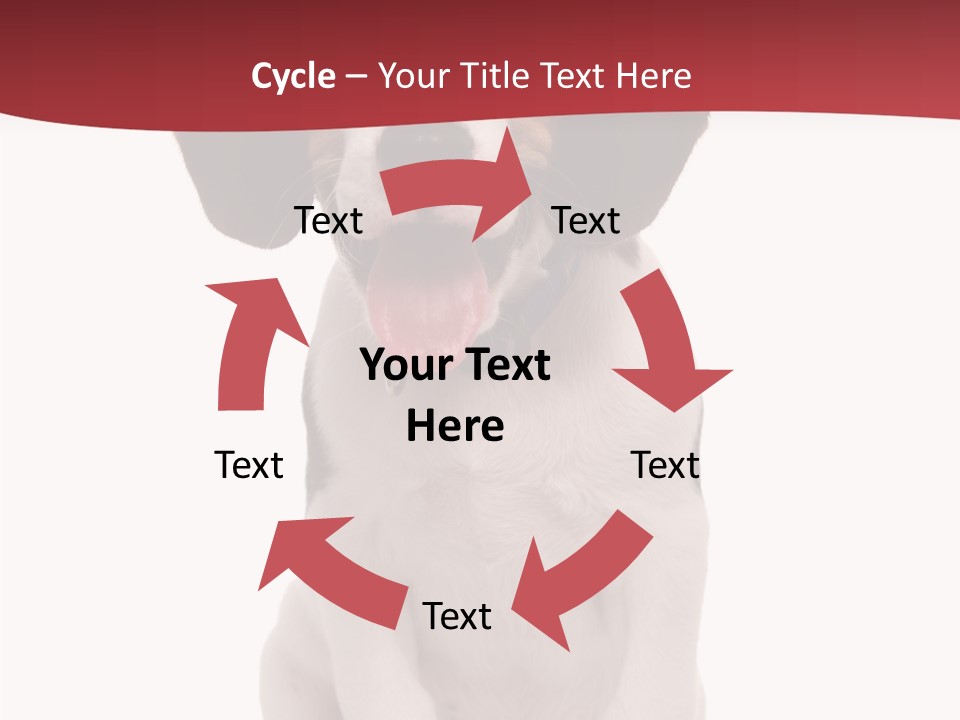 Room Happy Profe Ional PowerPoint Template