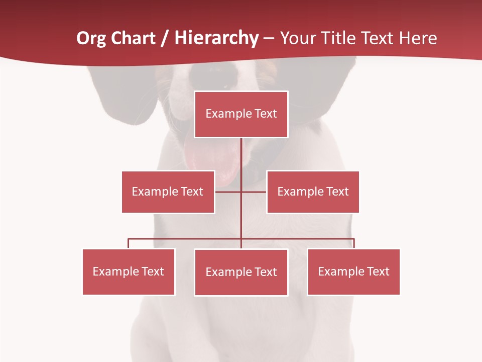 Room Happy Profe Ional PowerPoint Template