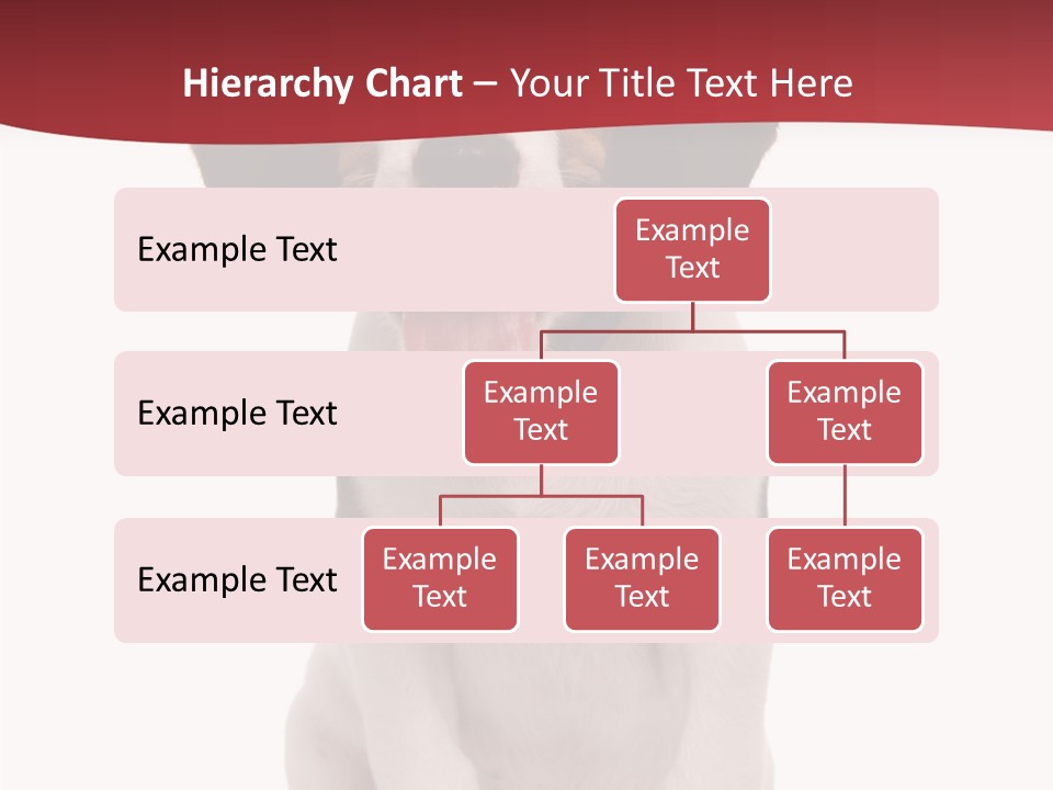 Room Happy Profe Ional PowerPoint Template