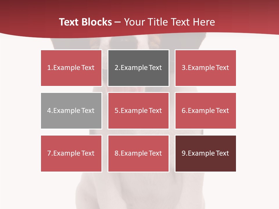 Room Happy Profe Ional PowerPoint Template