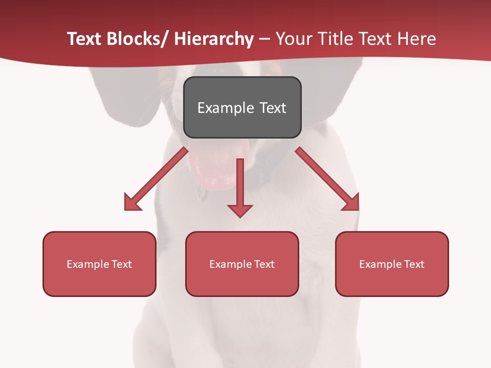 Room Happy Profe Ional PowerPoint Template