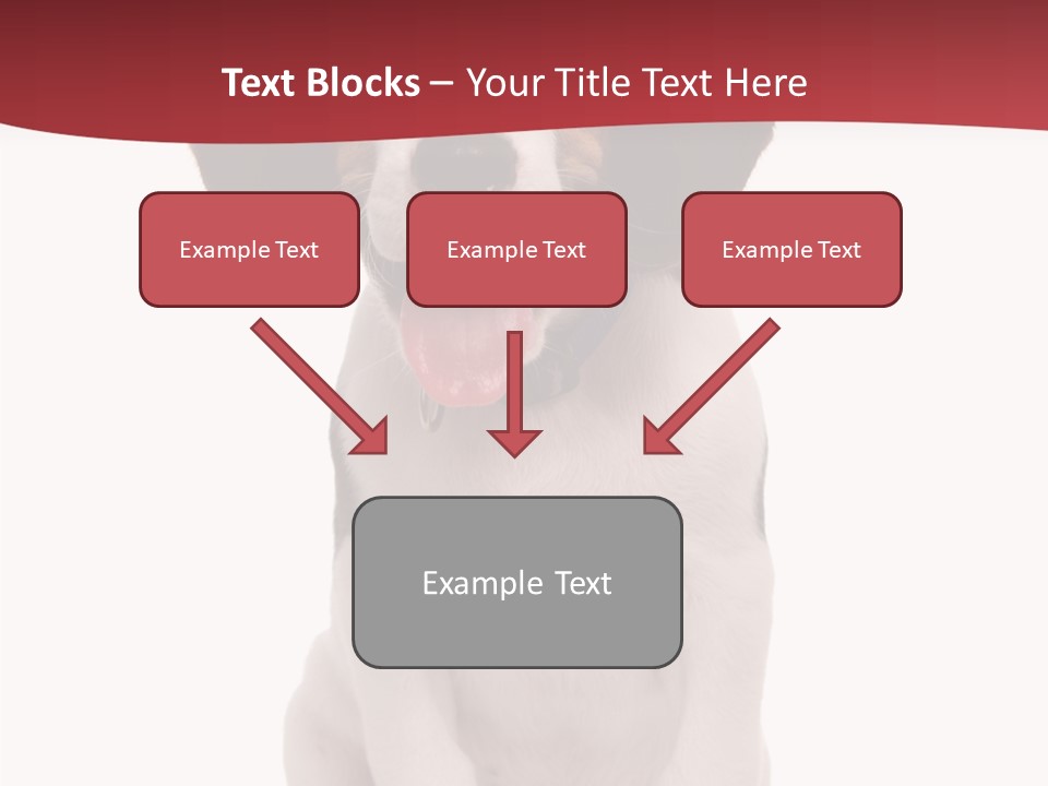 Room Happy Profe Ional PowerPoint Template