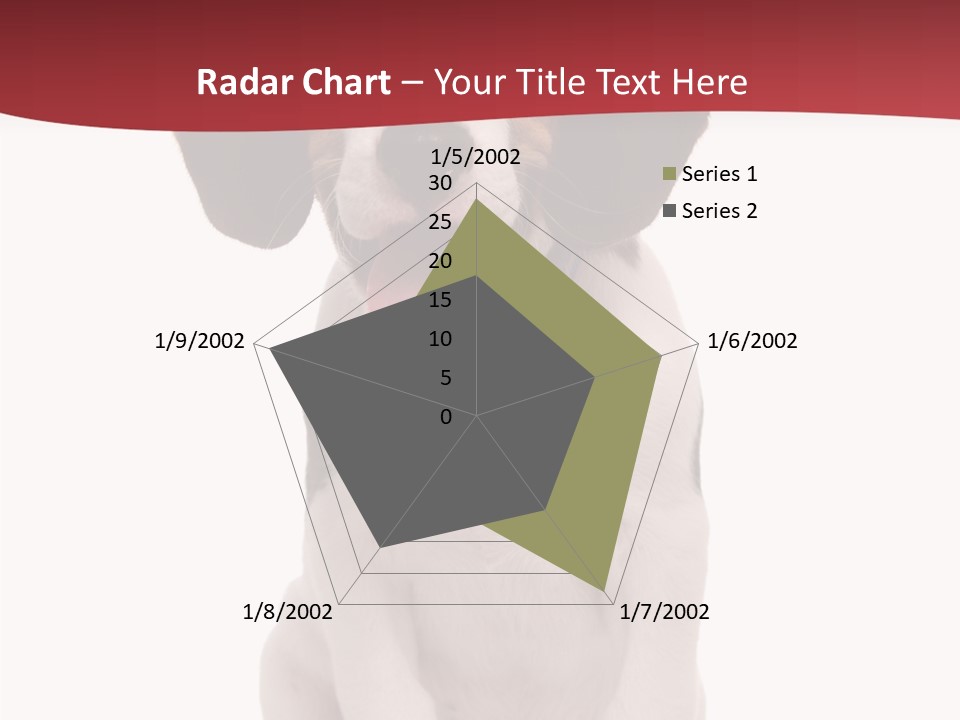 Room Happy Profe Ional PowerPoint Template
