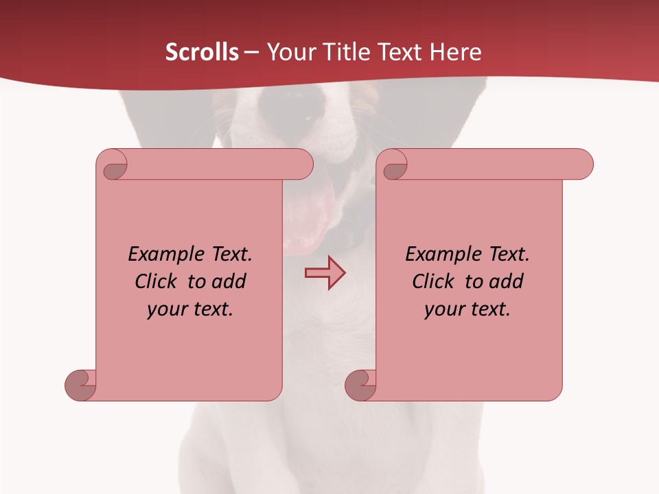 Room Happy Profe Ional PowerPoint Template