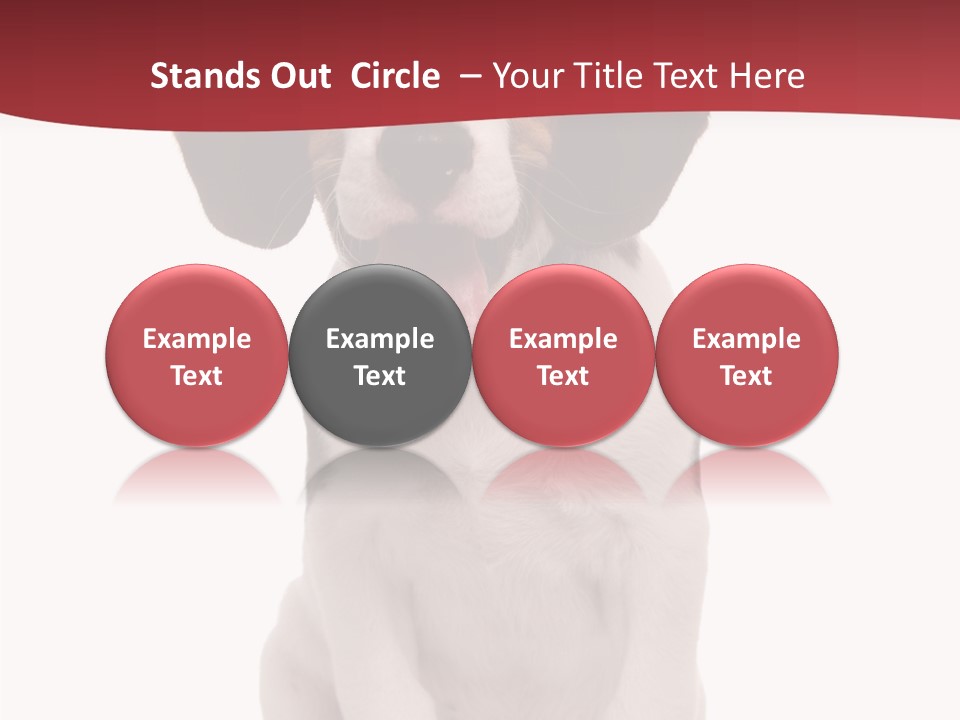 Room Happy Profe Ional PowerPoint Template