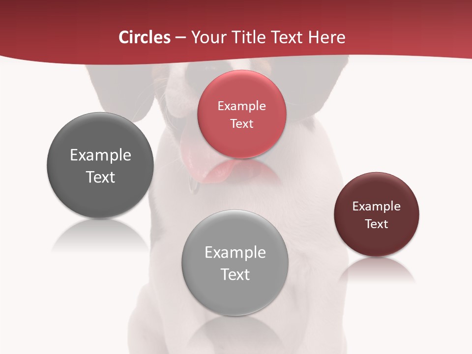 Room Happy Profe Ional PowerPoint Template