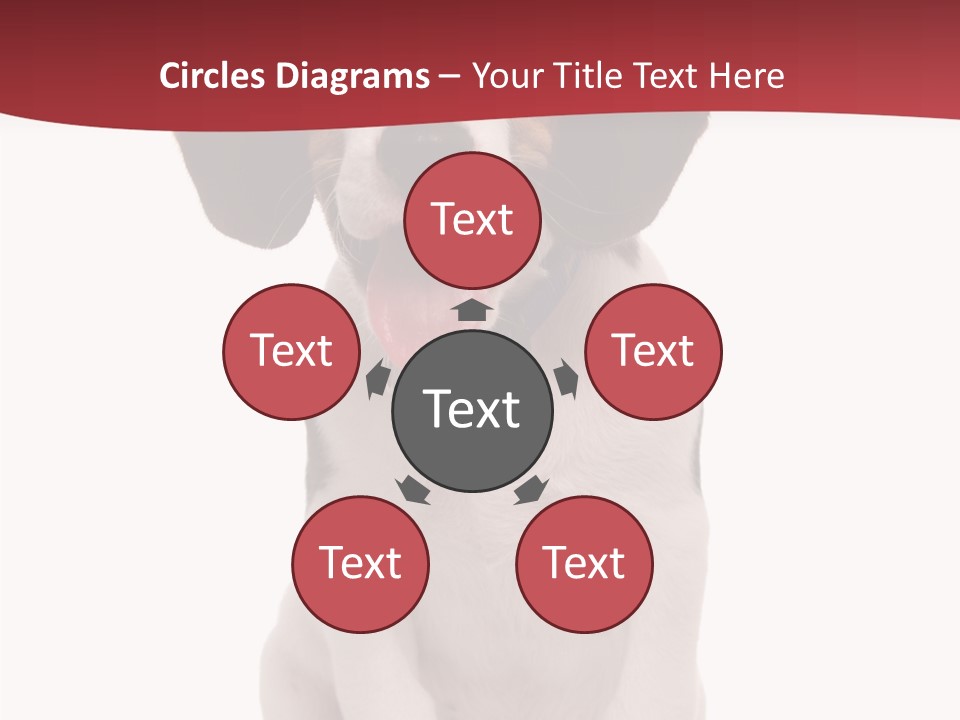 Room Happy Profe Ional PowerPoint Template