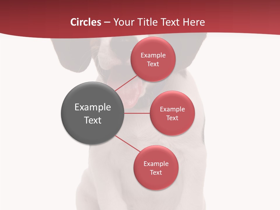 Room Happy Profe Ional PowerPoint Template