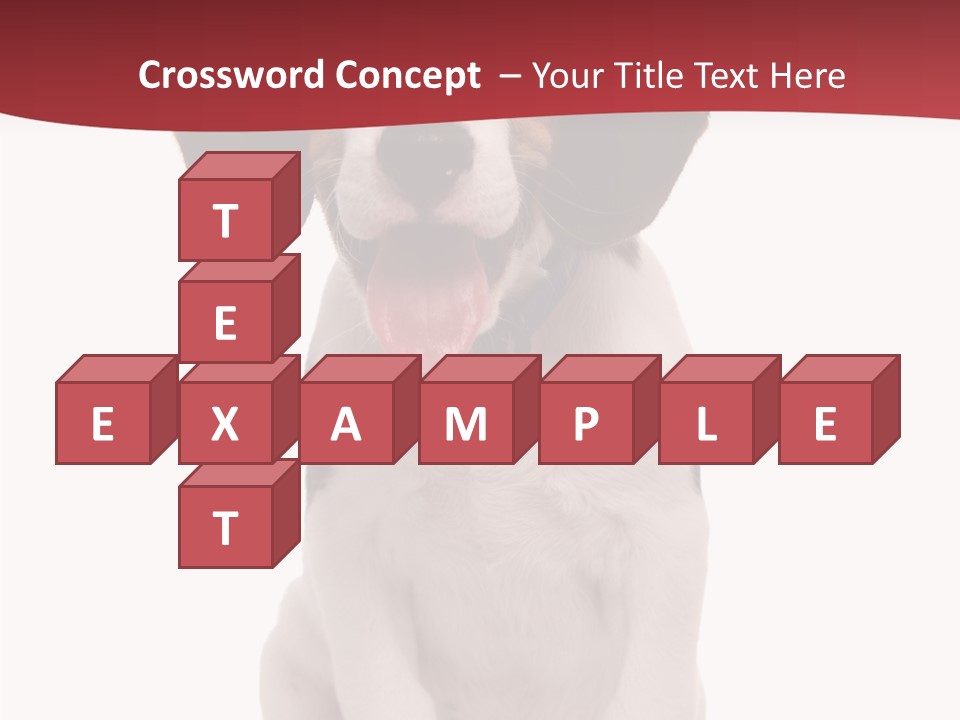 Room Happy Profe Ional PowerPoint Template