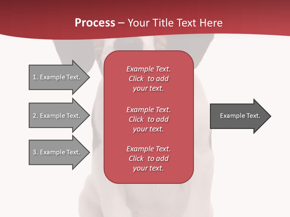 Room Happy Profe Ional PowerPoint Template