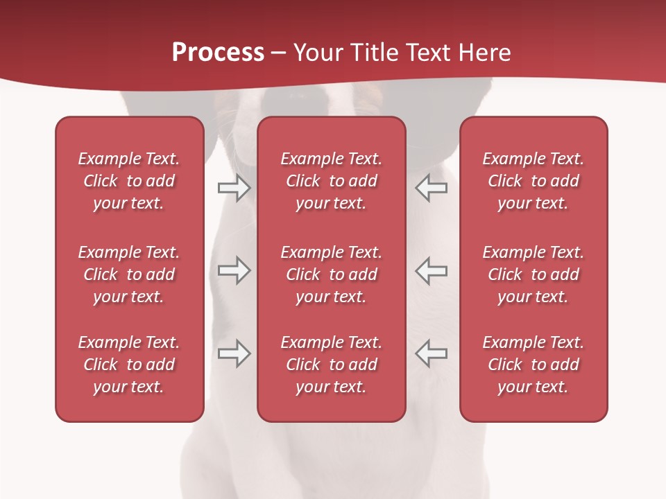 Room Happy Profe Ional PowerPoint Template