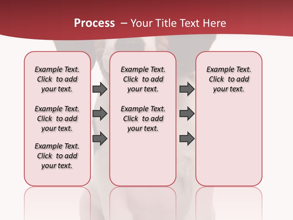 Room Happy Profe Ional PowerPoint Template