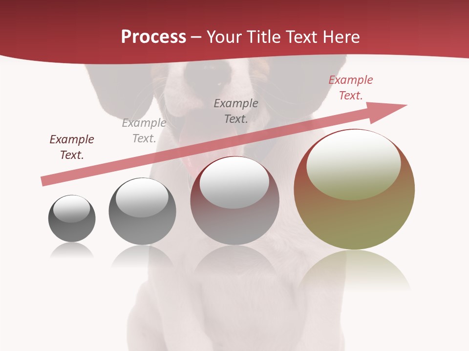 Room Happy Profe Ional PowerPoint Template