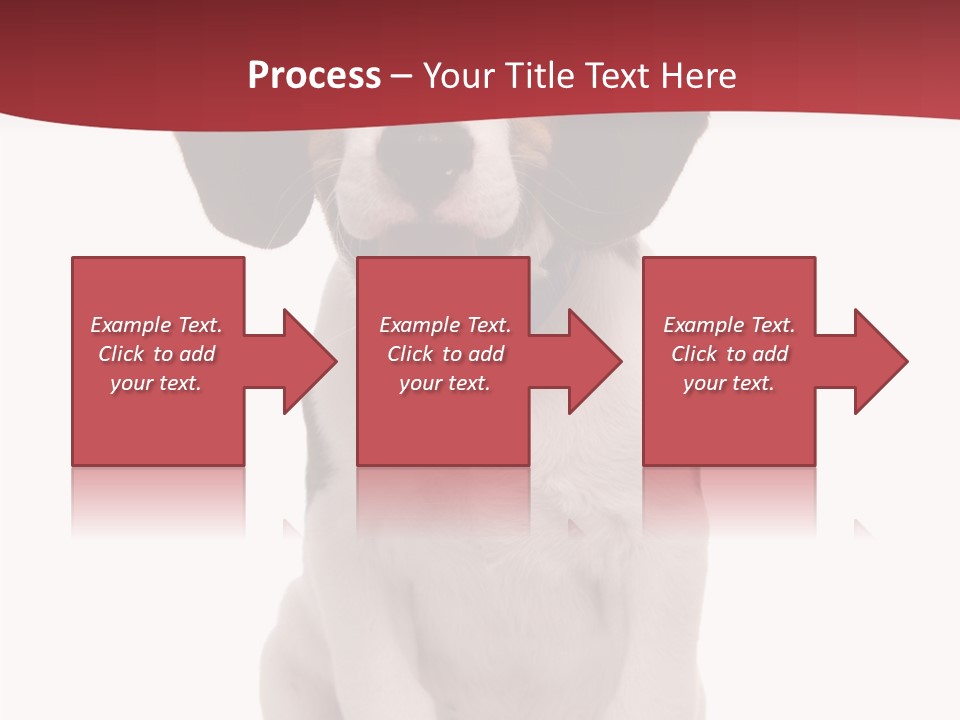 Room Happy Profe Ional PowerPoint Template