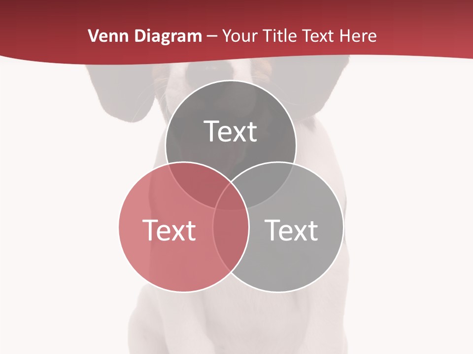 Room Happy Profe Ional PowerPoint Template