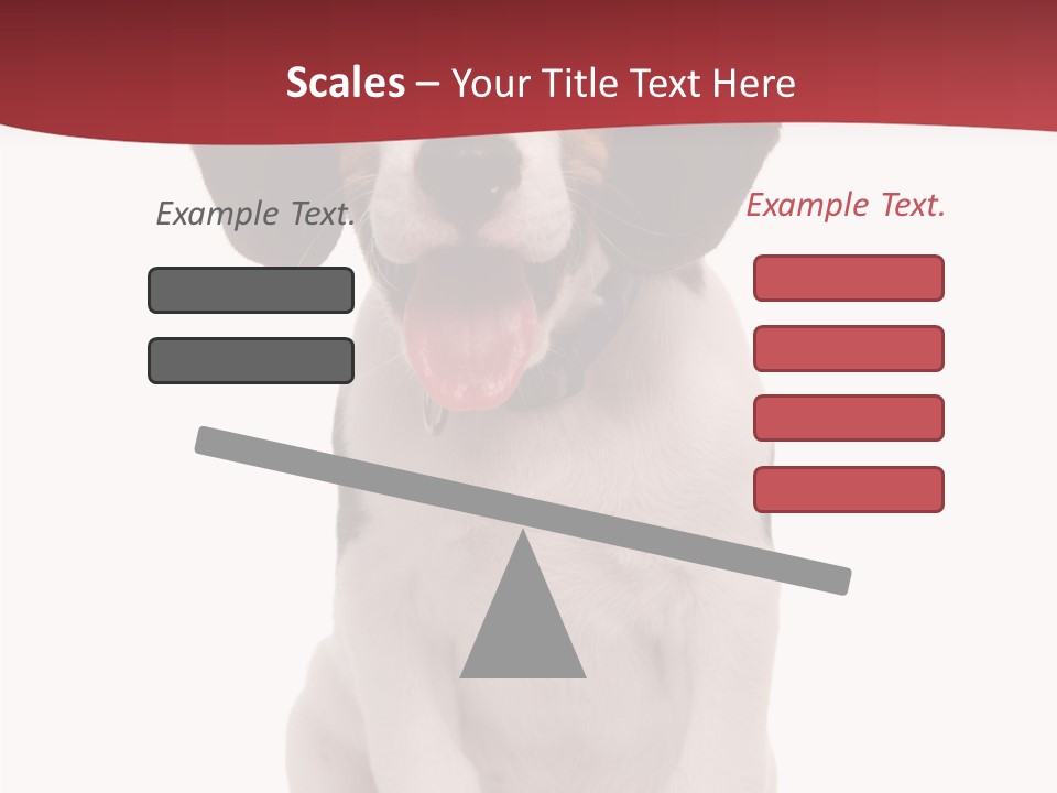 Room Happy Profe Ional PowerPoint Template