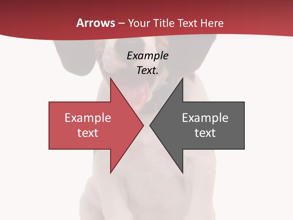 Room Happy Profe Ional PowerPoint Template