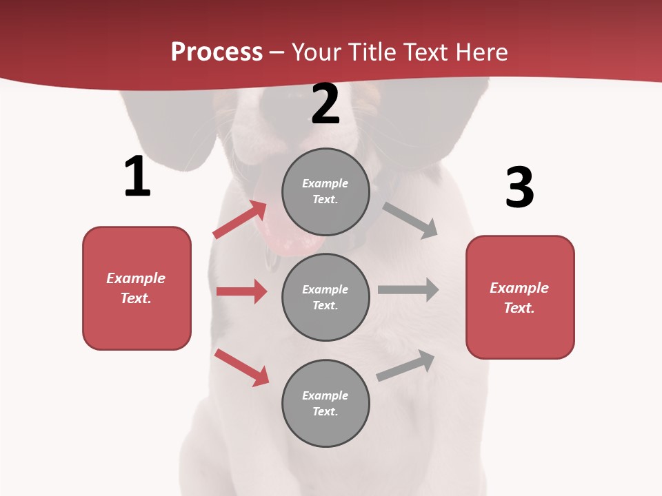 Room Happy Profe Ional PowerPoint Template